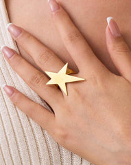 Long star earrings in Stainless Steel