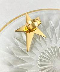 Long star earrings in Stainless Steel