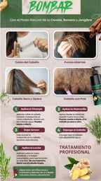 Pack anti caída del cabello. Con estractos naturales de jenjibre, romero y canela. Sin Parabenos ni Sulfatos. Cruelty free