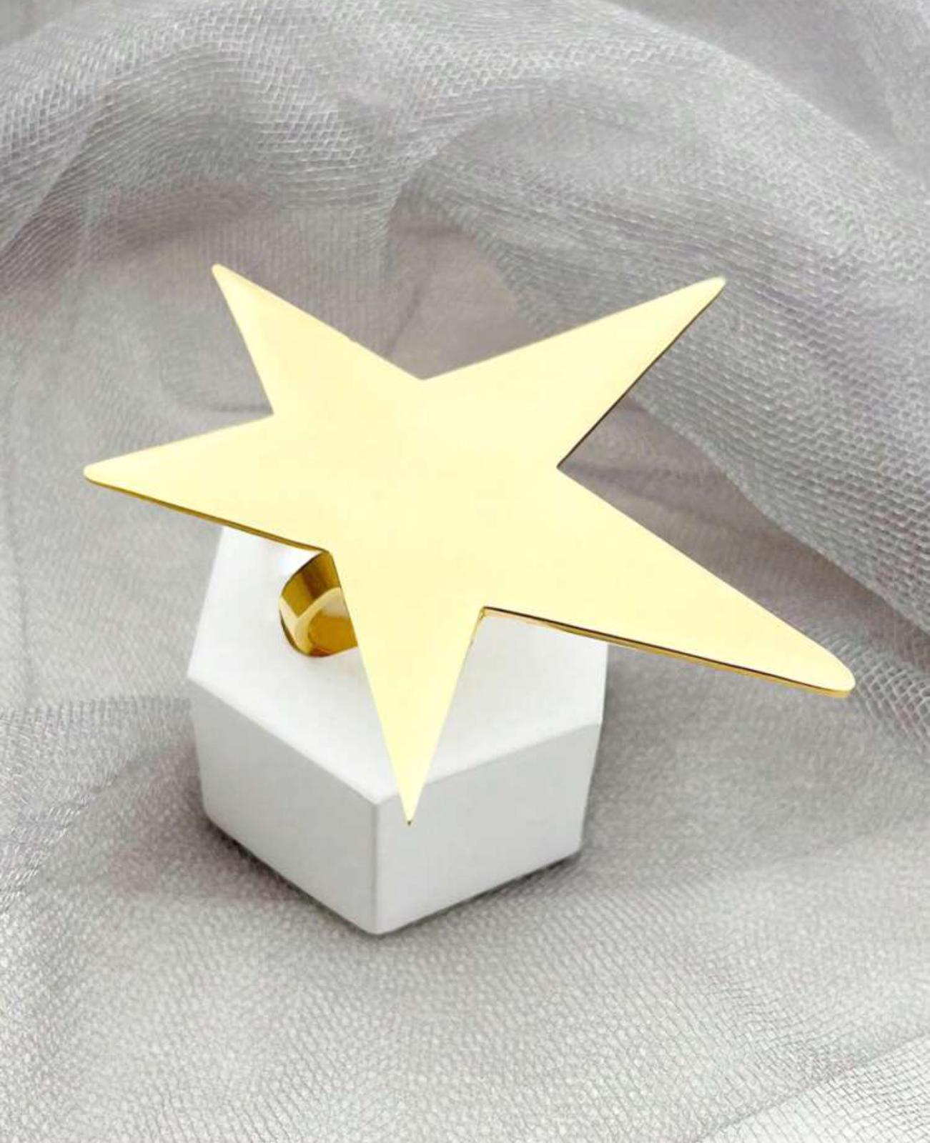 Long star earrings in Stainless Steel