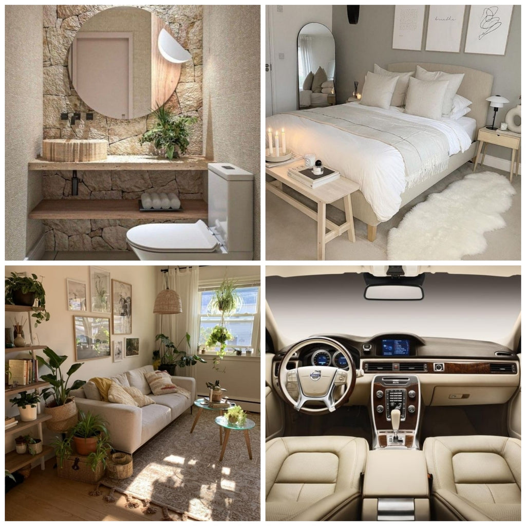 Pack Ambientador + Mikado olor MANGO duradero. 100 ml. Frasco de cristal