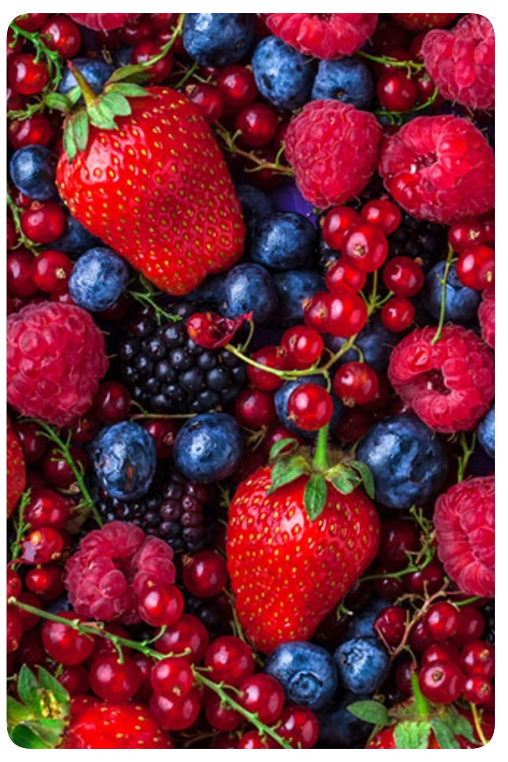 AMBIENTADOR DE COCHE SUPERCONCENTRADO. Recuerdan a PERFUMES DE LUJO. 2 unidades de 8 ml