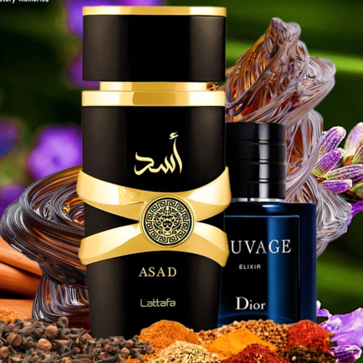 Lataffa for him: Asad Perfume by Lataffa. 100 ml. Arab men's perfume. HIGH PERFUMERY